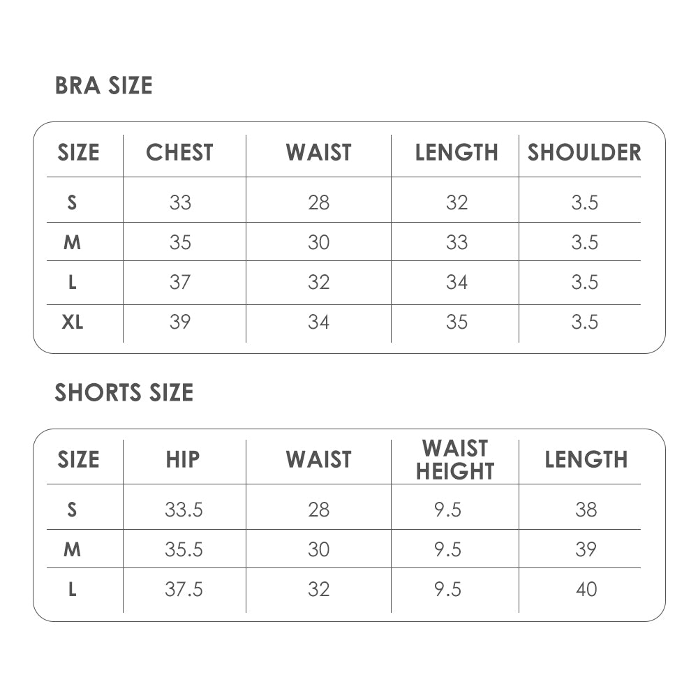 US Stock Workout Sets for Women 2 Pieces Seamless Ribbed Shorts with Bra Outfits Exercise Set